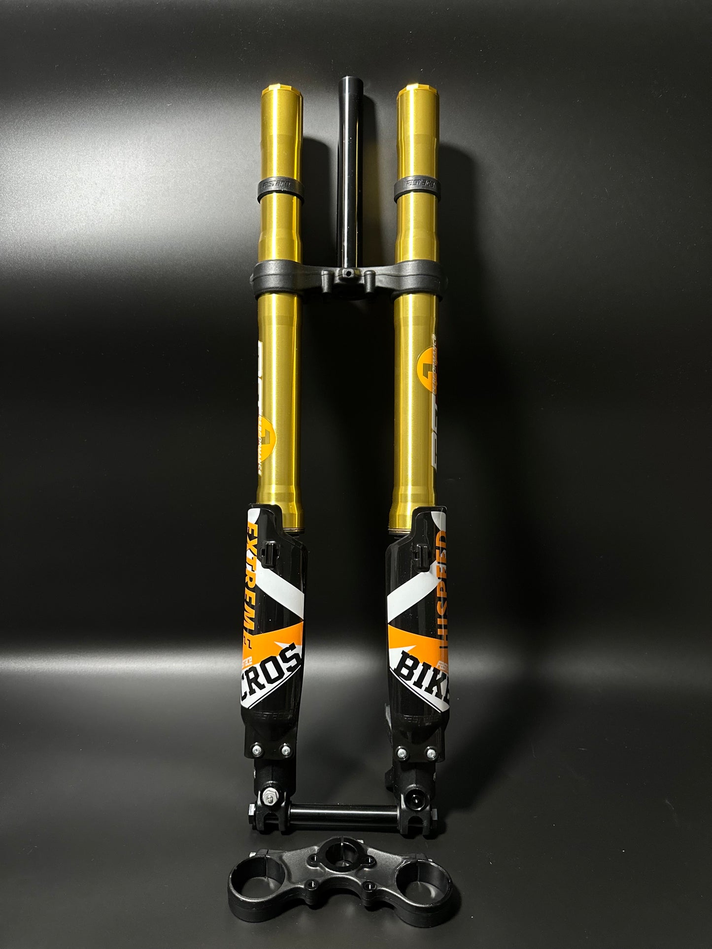 Surron Light Bee FastAce Fork V2