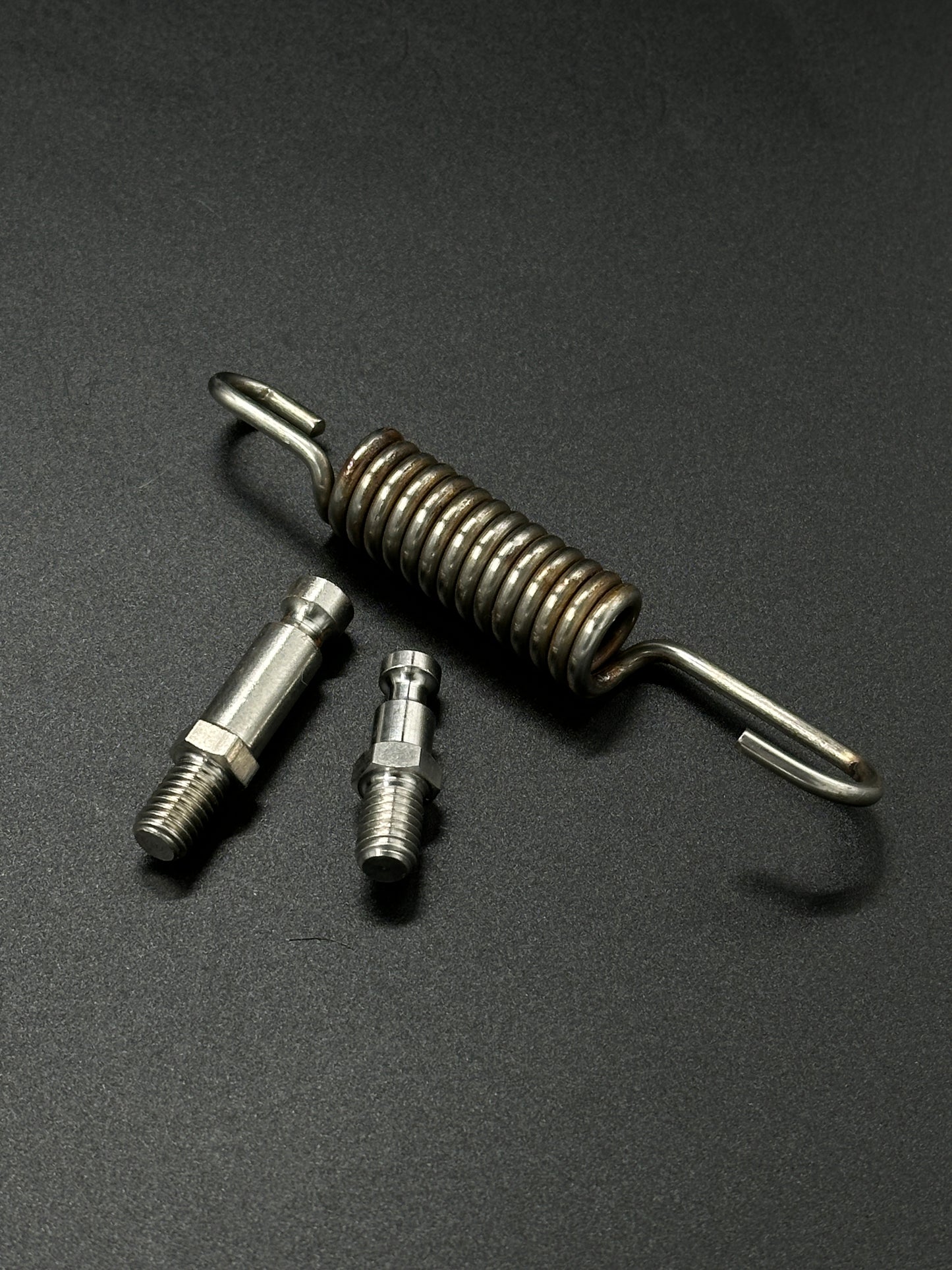 Surron Light Bee Kickstand Spring Set